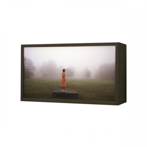Mijn adem verdampt | 58x33x18cm; notenhout, duratrans, LED, ontspiegeldglas, 2020