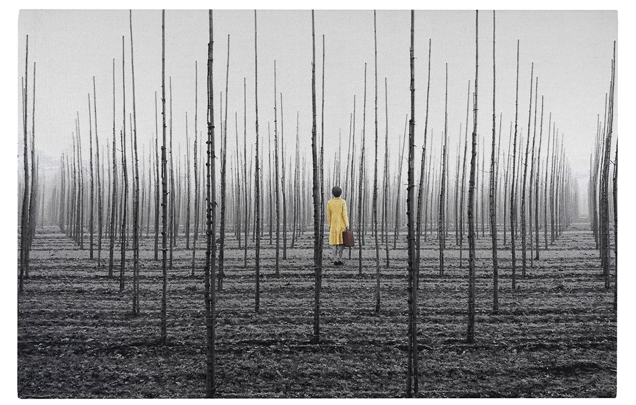 KunstRAI/Art Amsterdam 2026