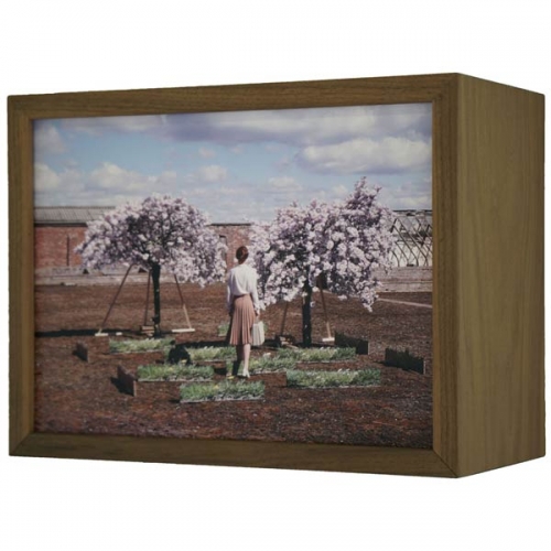 Diorama | 37x28x18 cm; notenhout, duratrans, ledstrips ontspiegeld glas; 2019