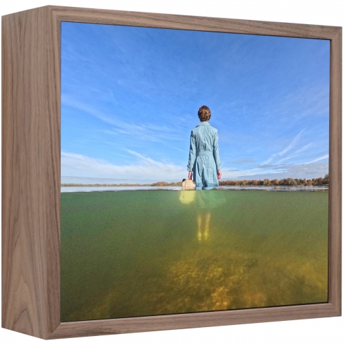 nowhere land | 36 x 41 cm, lightbox (noten fineer, duratrans, ledverlichting, museum glas)