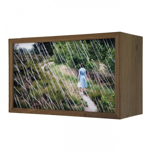 Regen op de Oude Buisse Heide | 27cm x 45cm x 19cm; noten hout, duratrans, LED strips, ontspiegeld glas; AIR Zundert 2019