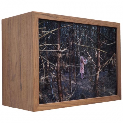 To give 2 | 28 x 37,5 x 18 cm; notenhout, duratrans, ledstrips ontspiegeld glas; 2019
