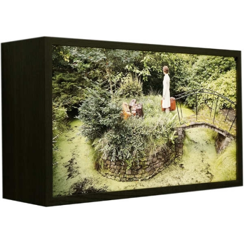 Winterreise (2) | 35x59x18cm, lightbox (notenhout, duratrans, ledstrips, ontspiegeld glas)
