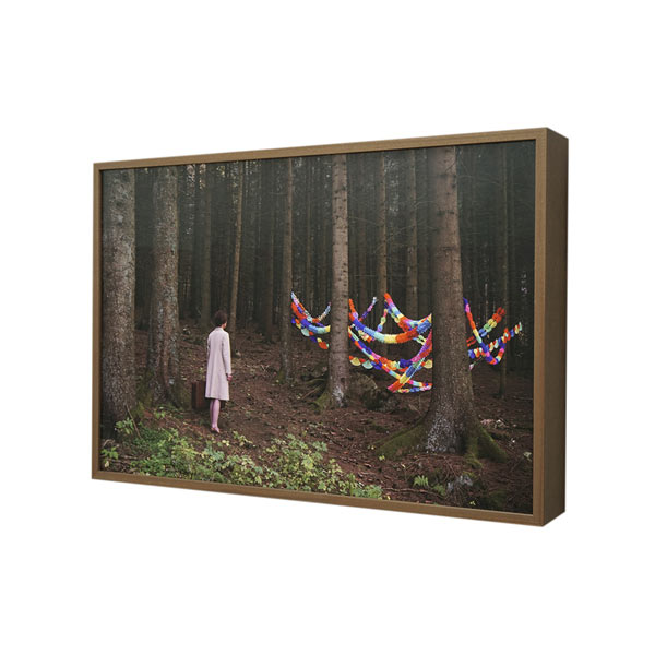 Grietje | 93x63x12cm; Lightbox (mahonie fineer, duratrans, LED, museumglas), 2020